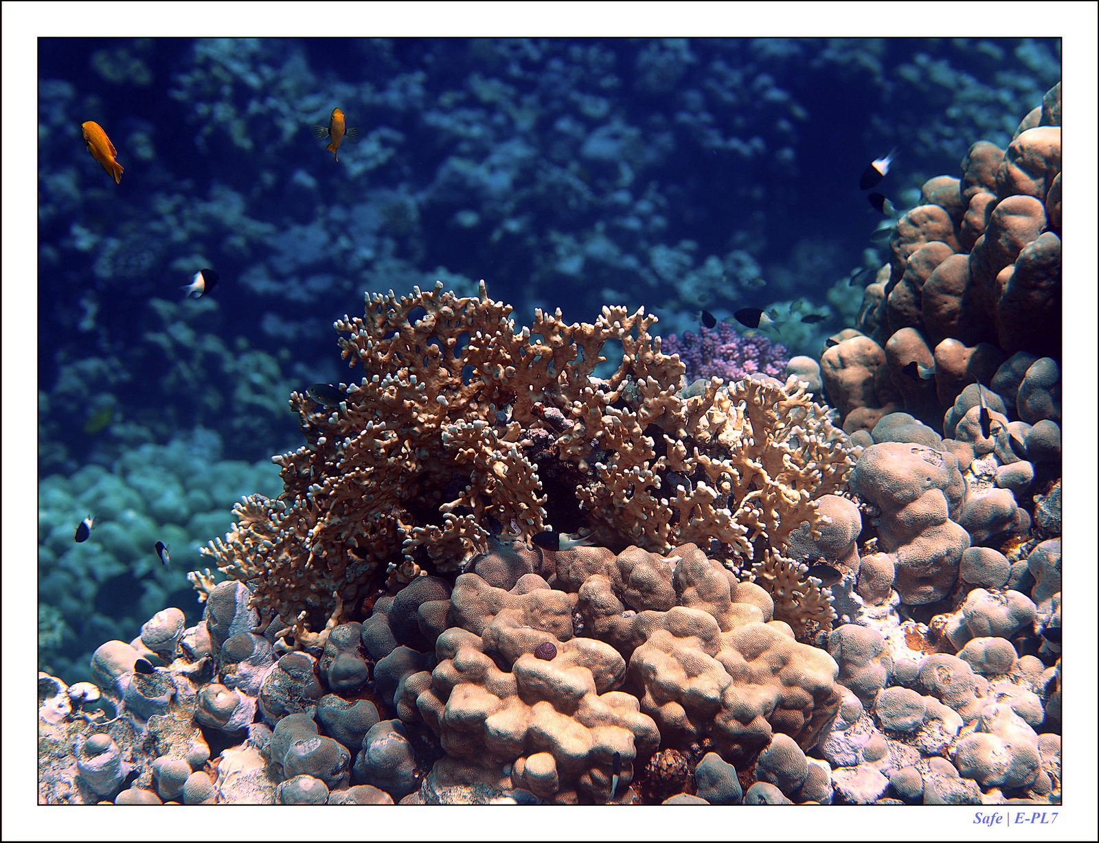 Hurghada - Juillet 2021 - 093